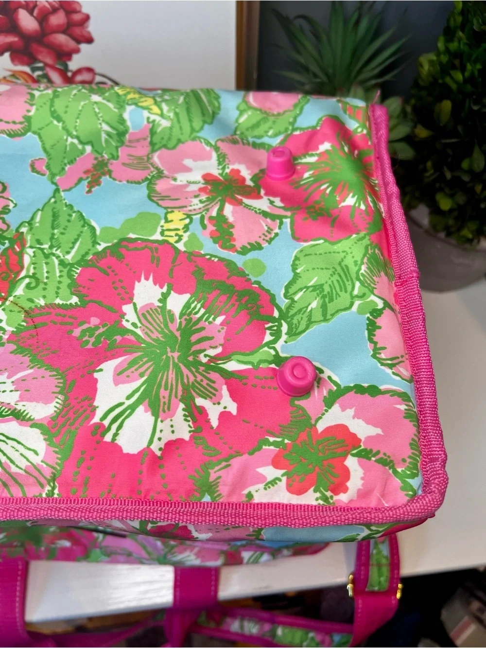 Lilly Pulitzer Insulated Cooler in the 